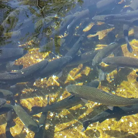 Waterfall House Getaway