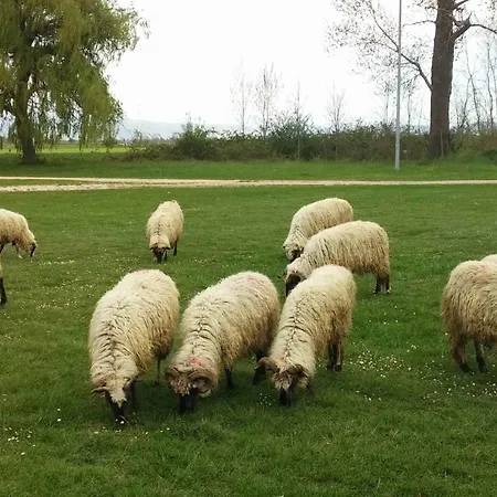 Waterfall House Getaway * Trilj