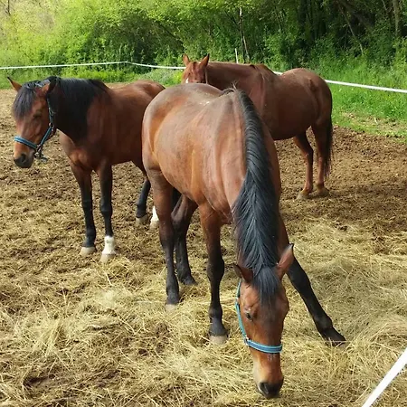 ヴィラ Waterfall House Getaway Trilj